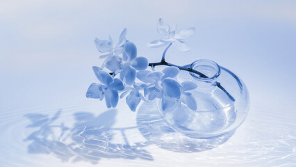 closeup of an orchid flower in a transparent vase in transparent water with sunlight reflection, abstract spa background concept with purity for beauty and body care, cosmetics and wellbeing