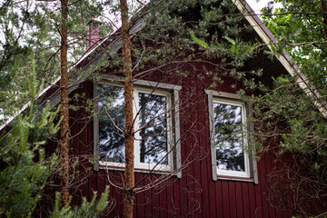 Close view of a red wooden cabin partially hidden by pine trees, with reflective windows and forest...