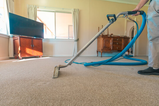Carpet cleaning professional using steam cleaner