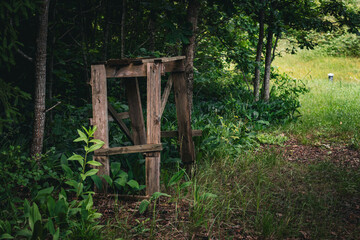 Weathered wooden structure standing among dense forest vegetation beside a grassy path in a quiet...