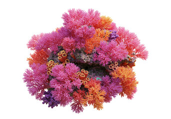 Isolated 3D Rendering of Colorful Coral Reef on Transparent Background