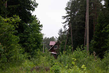 Secluded red house with tiled roof surrounded by dense green trees, wild grass, and power lines in...