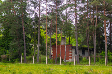 Old, partially overgrown brick structure surrounded by tall pine trees and a wire fence in a quiet...
