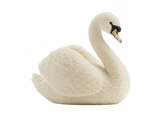 Isolated Decorative White Swan Ornament With Cute Elegant Design