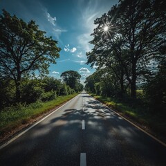 road in the forest