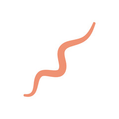 Ascaris Worm Parasite Vector Illustration