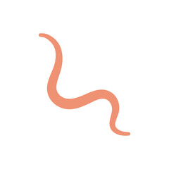 Obraz premium Ascaris Worm Parasite Vector Illustration