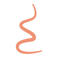 Ascaris Worm Parasite Vector Illustration