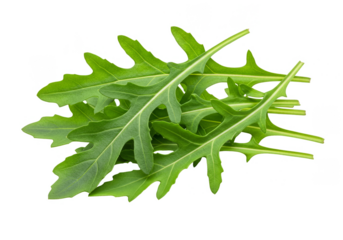 Isolated Fresh Green Arugula Salad Leaves On Transparent Background