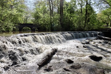 The flowing waterfall in the park on a sunny day.