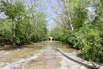 The flowing brook in the woods on a sunny day.