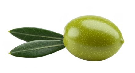 Isolated Green Olive with Leaves Fresh Healthy Food Ingredient