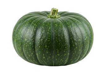 Isolated Green Pumpkin Vegetable Squash Autumn Harvest Food on Transparent