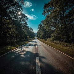 road in the woods