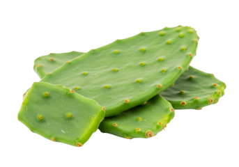 Isolated Green Nopal Cactus Paddles Stacked on Transparent Background