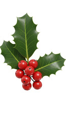 Isolated Png Holly Berries on Transparent Background a Festive Decoration