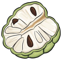 Cherimoya Fruit Cutting Illustration

