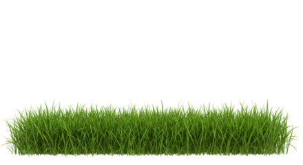 Isolated Lawn Grass Patch Green Nature Turf Fresh Background Element