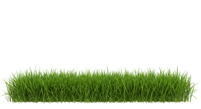 Isolated Lawn Grass Patch Green Nature Turf Fresh Background Element