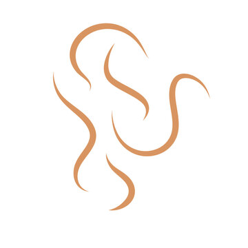 Roundworms in Cats and Dogs