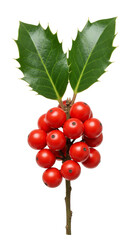Isolated Transparent Holly Berries with Green Leaves for Festive Decoration