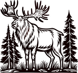 Fototapeta premium Majestic elk standing in forest with large antlers and evergreen trees, vintage etched illustration