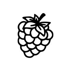line drawing of raspberry