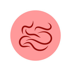 Pinworm parasite vector icon