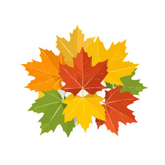 Obraz premium Autumn Maple Leaves Vector Illustration in Vibrant Fall Colors