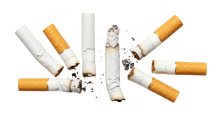 Smoked Cigarette Butts Isolated Still Life Bad Habit Tobacco Smoke