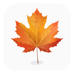 Fototapeta premium Autumn Maple Leaf Illustration - Vibrant Fall Foliage Graphic