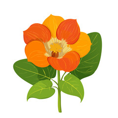 Fototapeta premium Vibrant Nasturtium Flower Illustration with Orange and Yellow Petals and Green Leaves