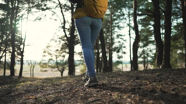 Trekking enthusiast explores park blending with nature hiker trail. Park trekking adventure captured showcasing hiker journey amidst trees. park setting perfect for trekking day followed by avid hiker