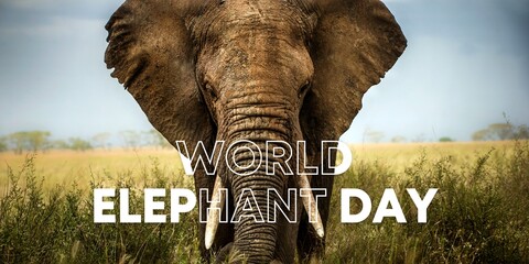 World Elephant Day Poster Banner