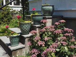 The flowers are in pots by the steps.