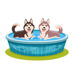 Two Huskies Cooling Off in a Pool on a Hot Day