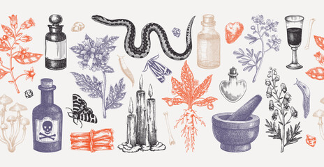 Witchcraft hand drawn vector illustration. Bohemian seamless ribbon. Halloween background. Witch herbs, poisonous plants, and magic ingredients sketches. NOT AI generated