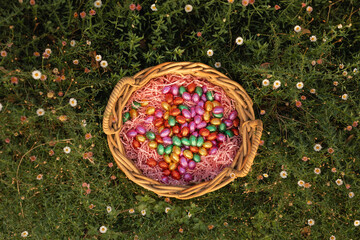 Basket full of Easter Eggs hidden in garden full of seaside daisies