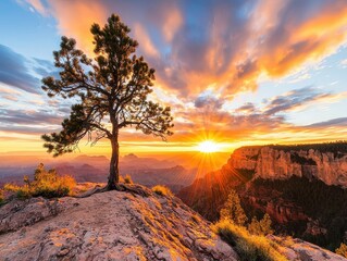 Naklejka premium Serene Sunset Over Majestic Canyon with Lone Tree Silhouette