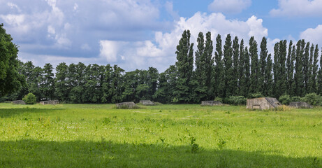 Historic bunkers from the New Dutch Waterline dot a vibrant green field, backed by a striking line...