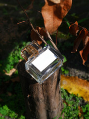 perfume bottle mockup with plain white label on the natural woods background