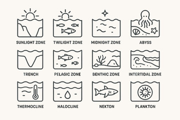 Marine zones and ecosystems diagram with ocean life icons
