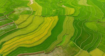 Khau Pha terraced rice fields seen from above are extremely beautiful.