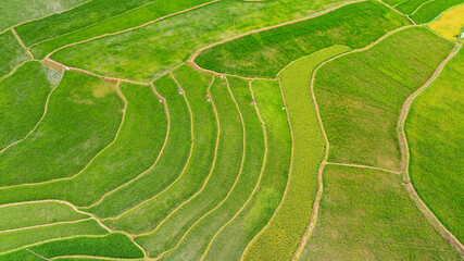 Khau Pha terraced rice fields seen from above are extremely beautiful.