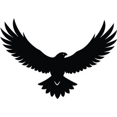 Obraz premium Silhouette of a bird with its wings spread wide open in flight