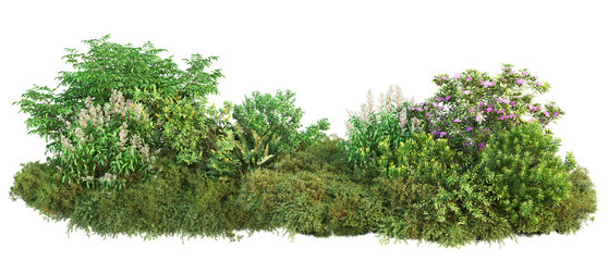 3D render of flowering shrubs on a transparent background	