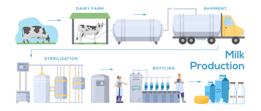milk bottle production process illustration cartoon infographic poster processing automated dairy factory making pasteurization bottling milk product