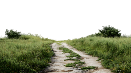 Dirt road through grassy field