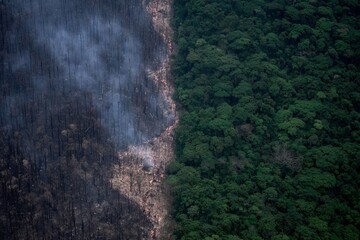 The contrast between lush green forest and burnt land creates a striking scene
