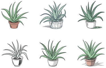 Aloe Vera in Pot Vector Designs Set Flat and Minimal Succulent Clipart Collection